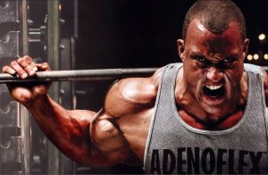Тестостерон и силовые тренировки