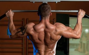 Особенности тренинга для мощной спины