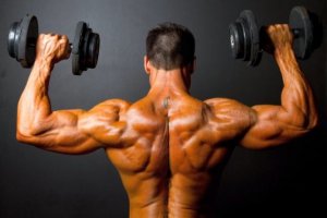 Особенности тренировок дельтовидных мышц