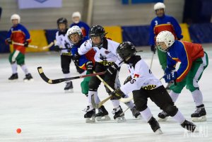 Всероссийские соревнования по хоккею с мячом