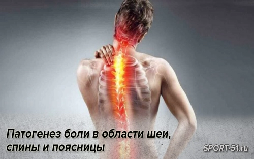 Патогенез боли в области шеи, спины и поясницы