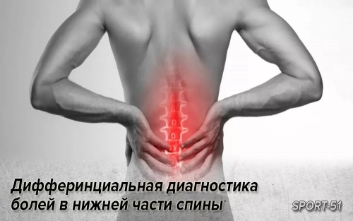 Дифферинциальная диагностика болей в нижней части спины